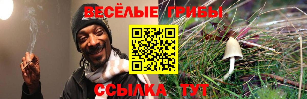 Псилоцибиновые грибы Cubensis Магнитогорск